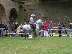 REMPARTS LONGWY 2008 298